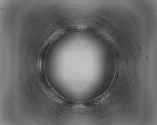 X0000085270262200703231748