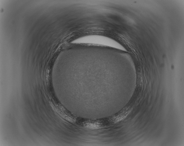 X0000085270263200703231748