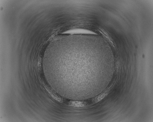 X0000085270265200703231748