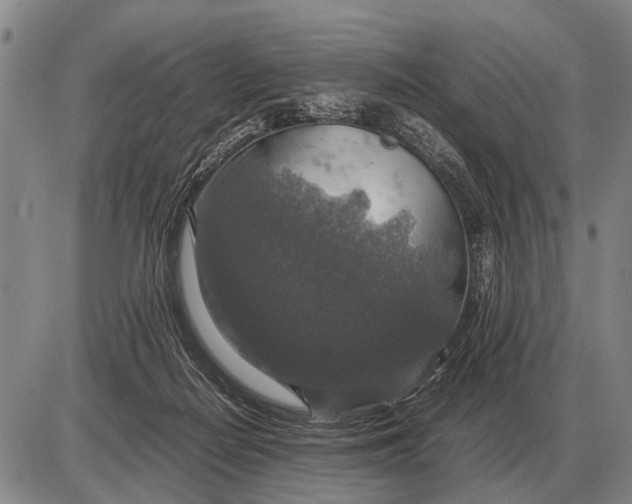 X0000085270266200703231748