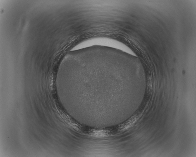 X0000085270268200703231748