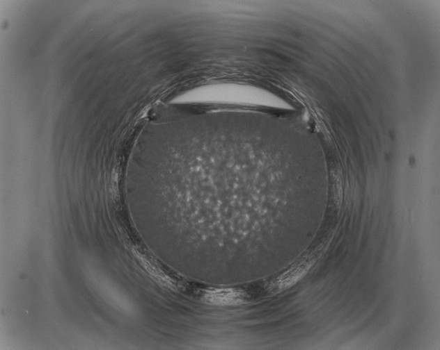 X0000085270269200703231748