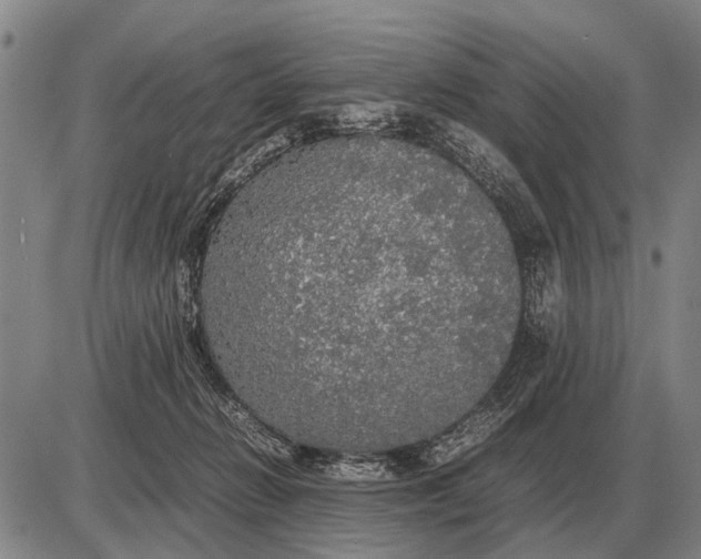 X0000085270270200703231748