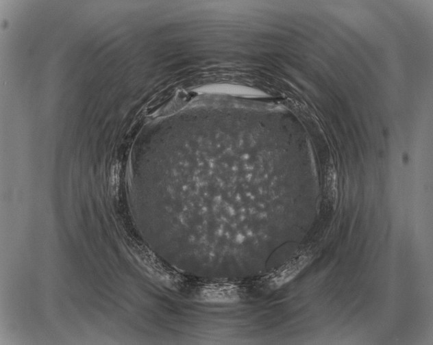 X0000085270271200703231748