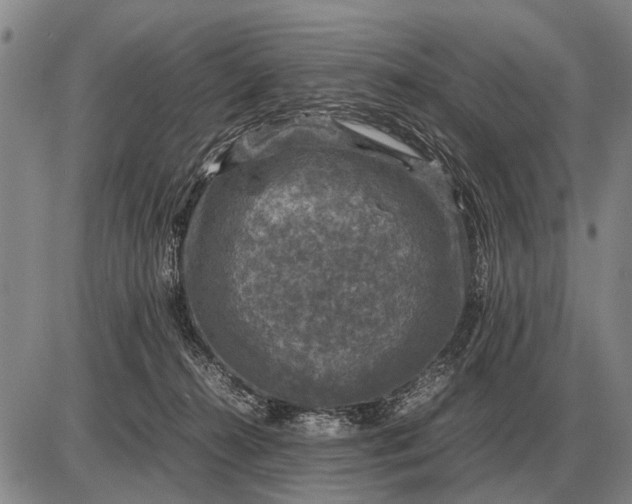 X0000085270272200703231748