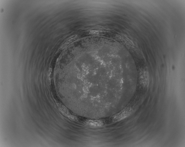 X0000085270275200703231748