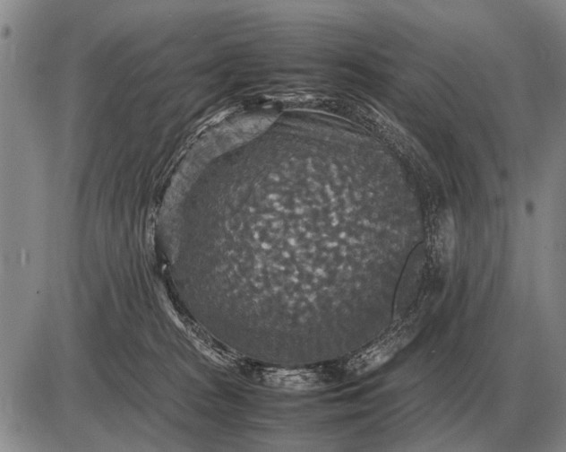 X0000085270277200703231748