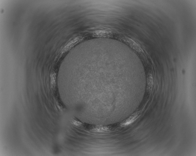 X0000085270278200703231748