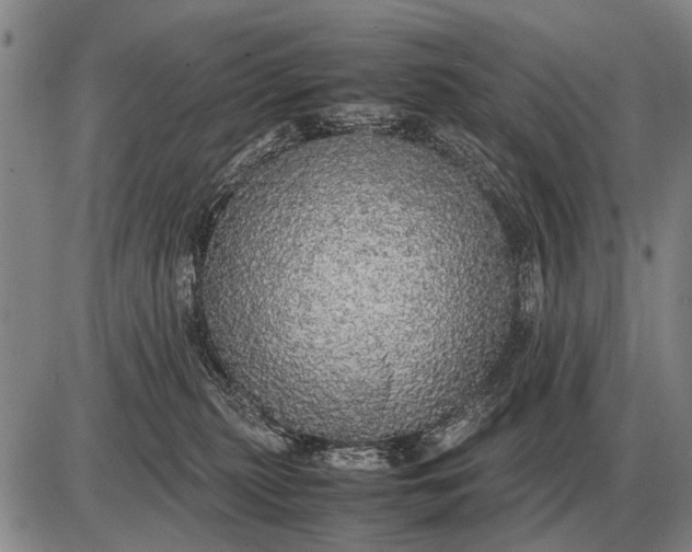 X0000085270279200703231749