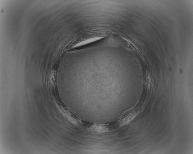 X0000085270280200703231749