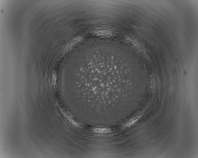 X0000085270281200703231749