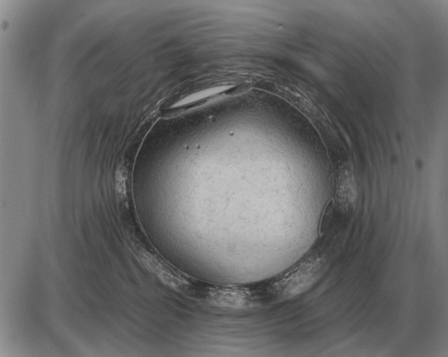 X0000085270282200703231749