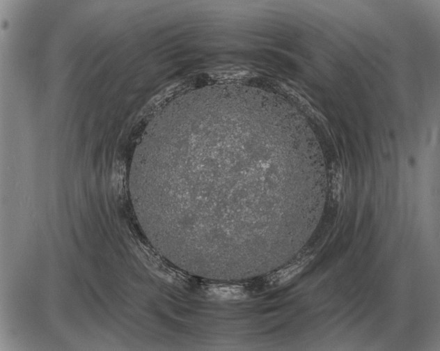 X0000085270283200703231749