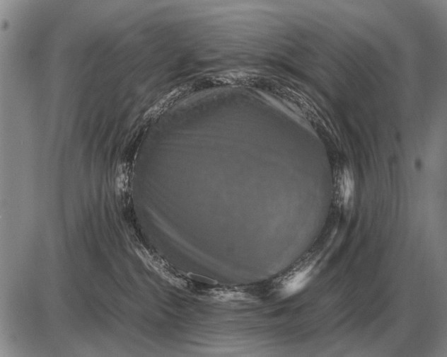 X0000085270284200703231749