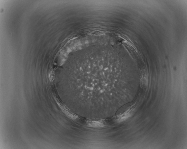 X0000085270285200703231749