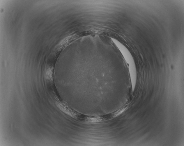 X0000085270286200703231749