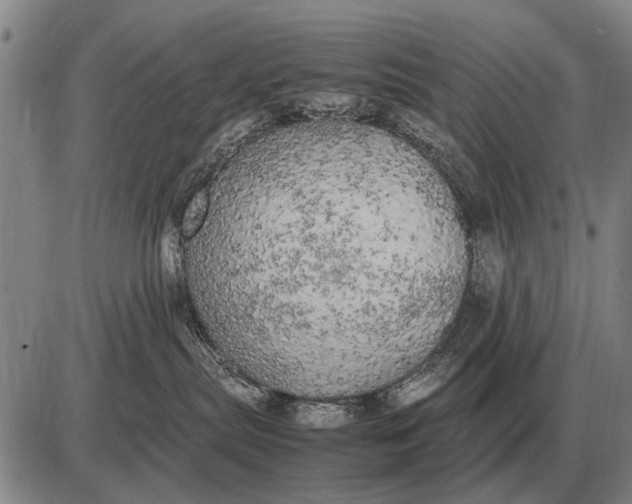 X0000085270287200703231749