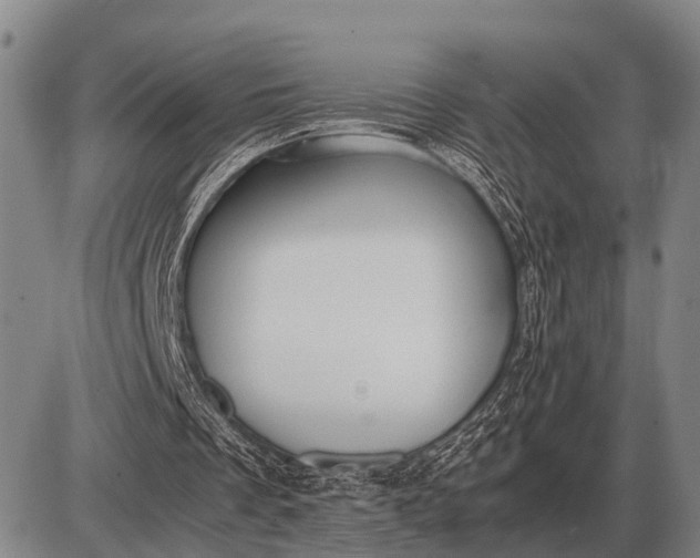 X0000085270289200703231748