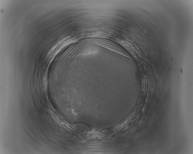 X0000085270290200703231748