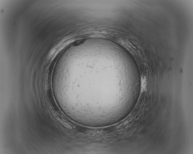 X0000085270291200703231748