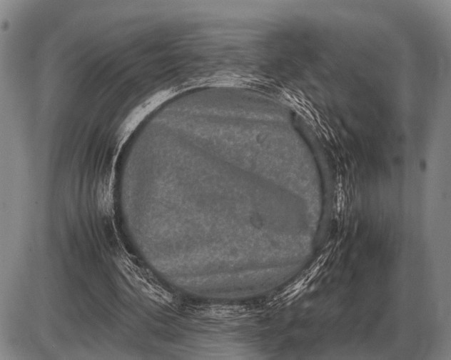 X0000085270292200703231748