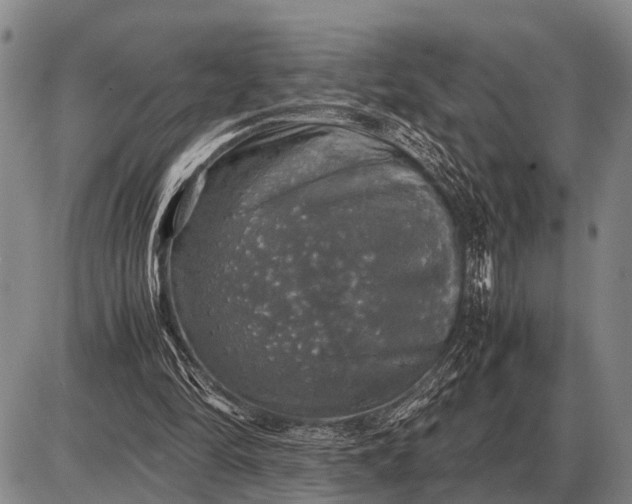 X0000085270294200703231748