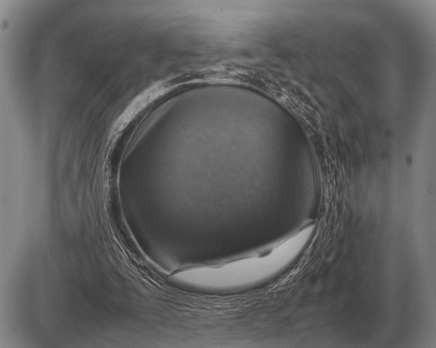 X0000085270295200703231748