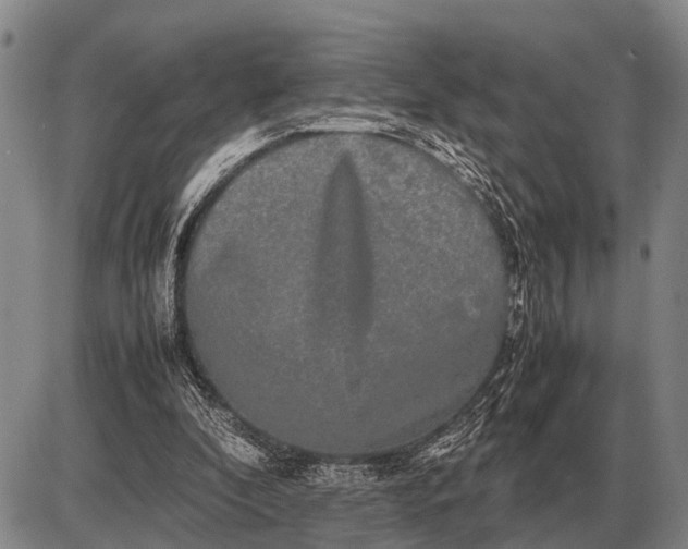 X0000085270296200703231748