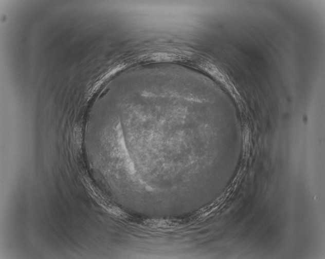 X0000085270297200703231748