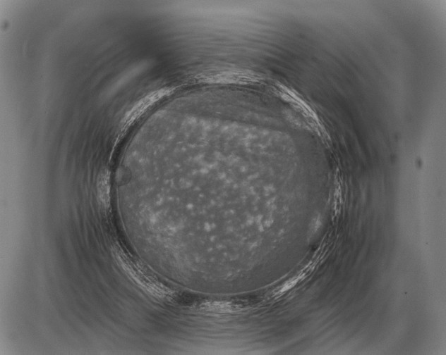 X0000085270298200703231748