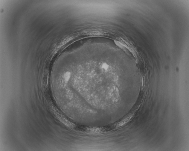 X0000085270301200703231748