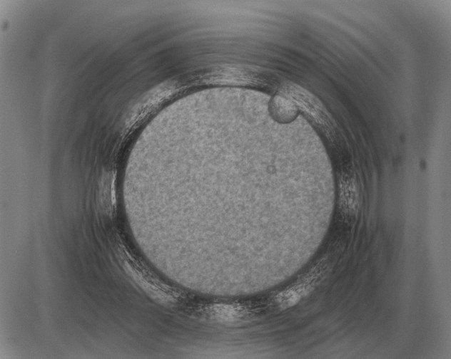 X0000085270302200703231748