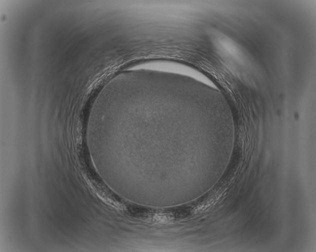 X0000085270303200703231748