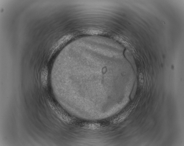 X0000085270304200703231748