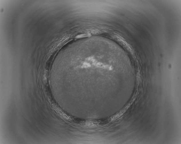 X0000085270305200703231748