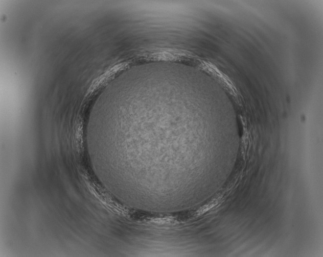 X0000085270306200703231748