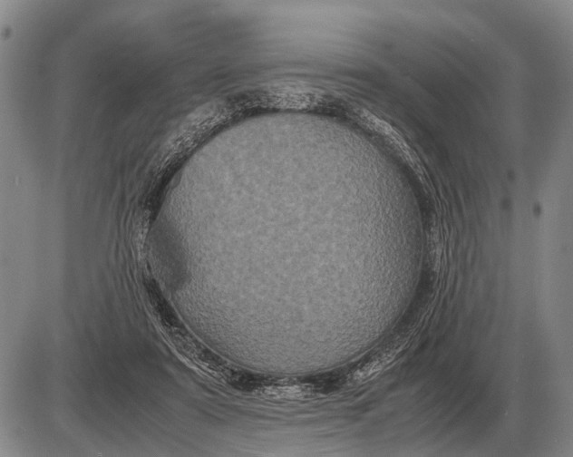 X0000085270307200703231748