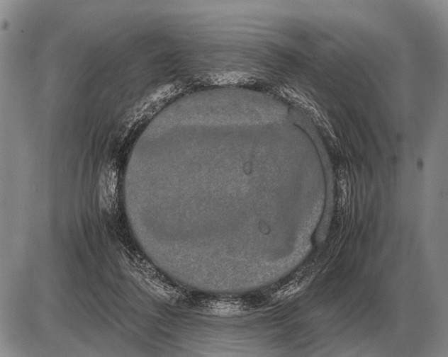 X0000085270308200703231748