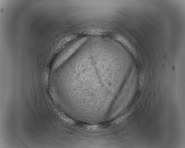 X0000085270309200703231748