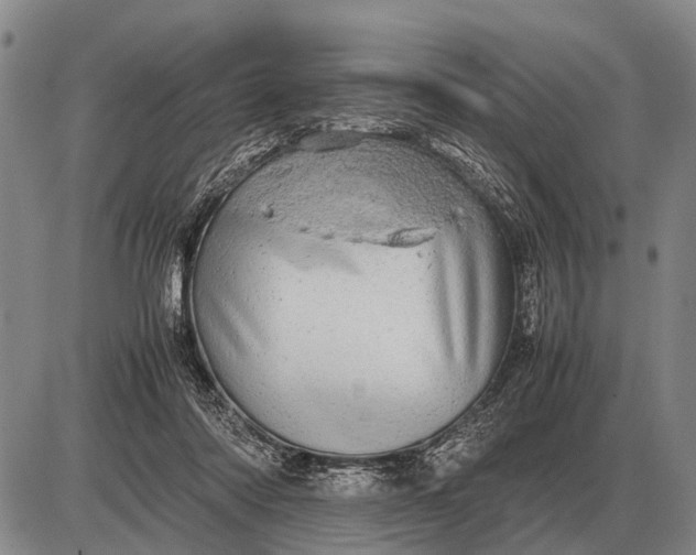 X0000085270310200703231748