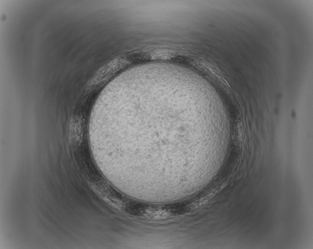 X0000085270311200703231747