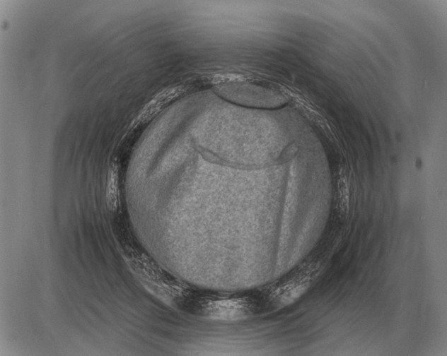 X0000085270312200703231747