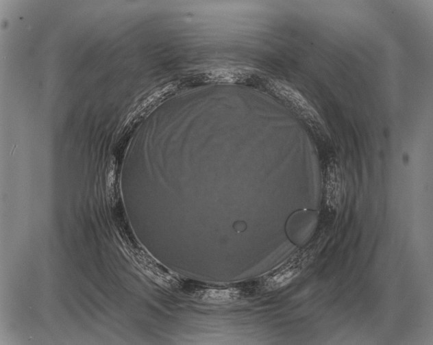 X0000085270314200703231747