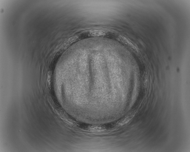 X0000085270315200703231747