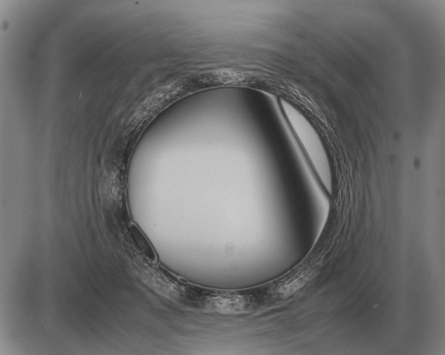 X0000085270317200703231747