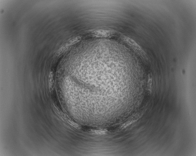 X0000085270318200703231747