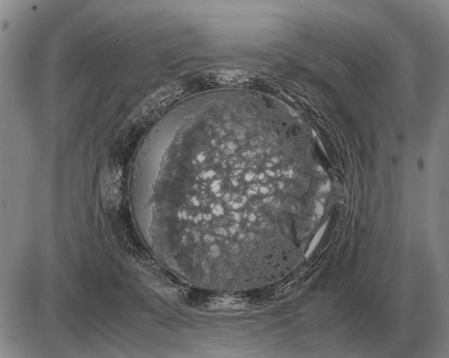 X0000085270319200703231747