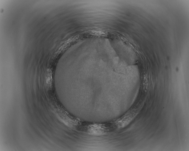 X0000085270320200703231747