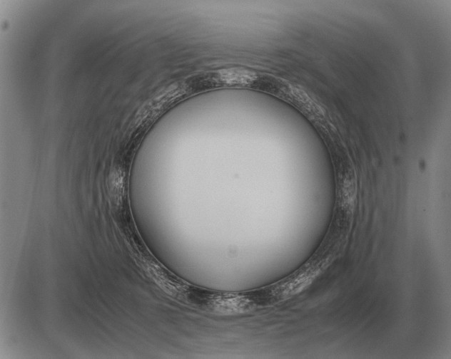 X0000085270321200703231747