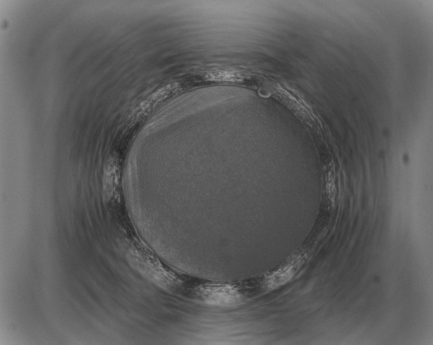 X0000085270322200703231747